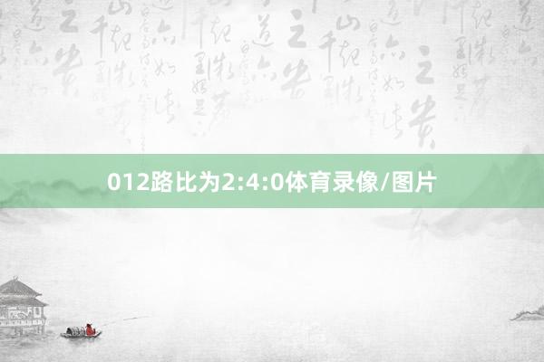 012路比为2:4:0体育录像/图片