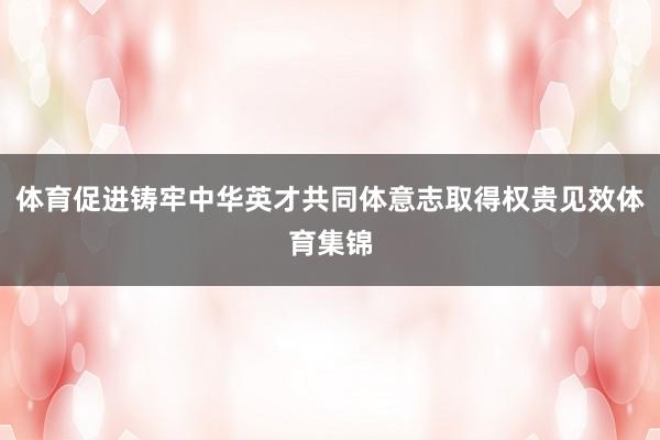 体育促进铸牢中华英才共同体意志取得权贵见效体育集锦