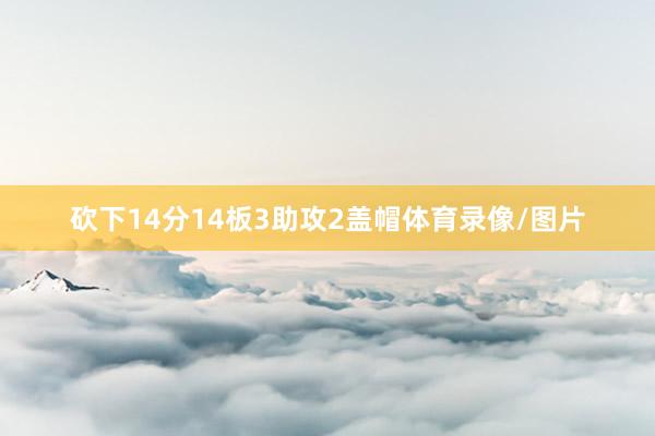 砍下14分14板3助攻2盖帽体育录像/图片