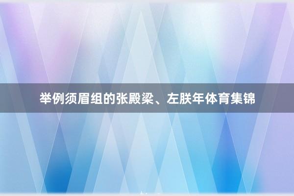 举例须眉组的张殿梁、左朕年体育集锦