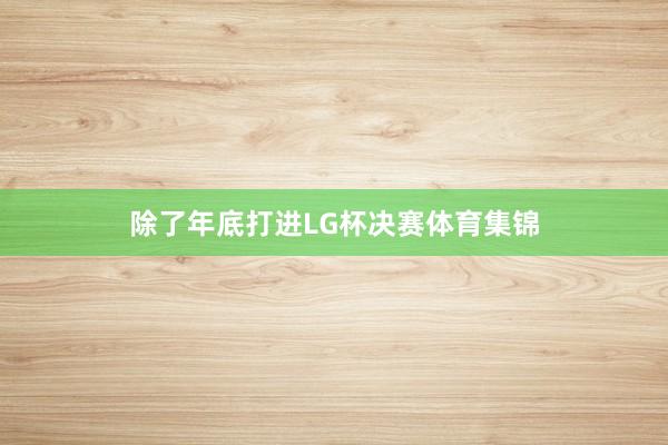 除了年底打进LG杯决赛体育集锦