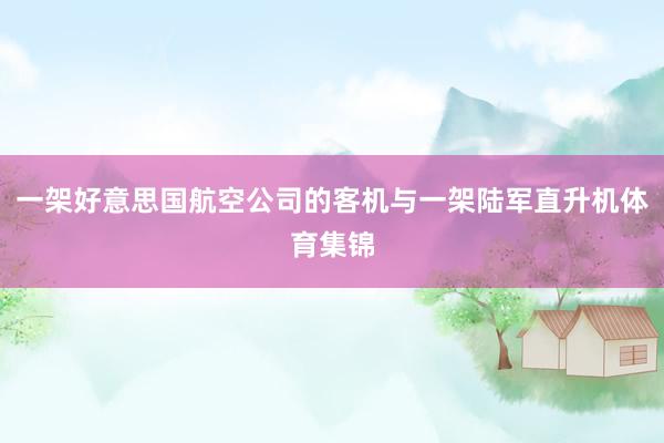 一架好意思国航空公司的客机与一架陆军直升机体育集锦